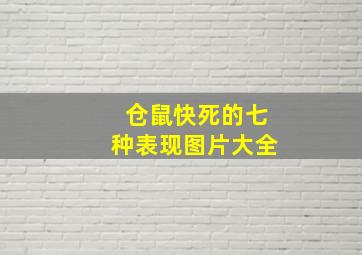 仓鼠快死的七种表现图片大全