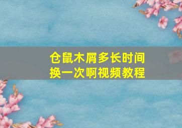 仓鼠木屑多长时间换一次啊视频教程