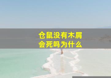 仓鼠没有木屑会死吗为什么