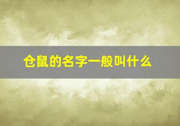 仓鼠的名字一般叫什么