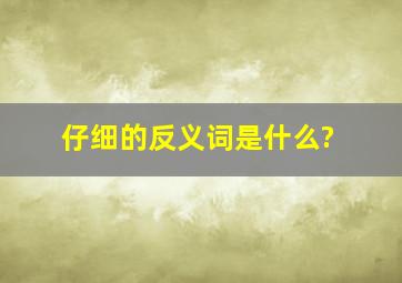 仔细的反义词是什么?