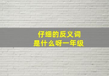 仔细的反义词是什么呀一年级