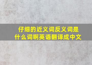 仔细的近义词反义词是什么词啊英语翻译成中文