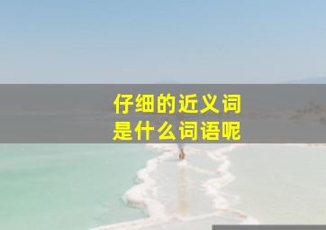 仔细的近义词是什么词语呢