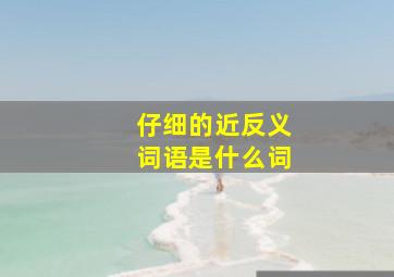 仔细的近反义词语是什么词