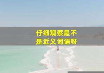 仔细观察是不是近义词语呀