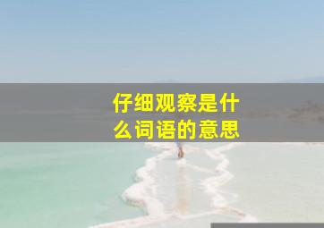 仔细观察是什么词语的意思