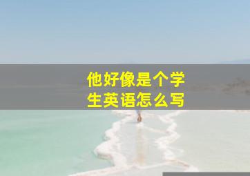 他好像是个学生英语怎么写