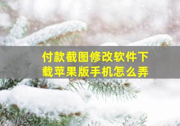 付款截图修改软件下载苹果版手机怎么弄