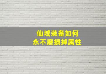 仙域装备如何永不磨损掉属性