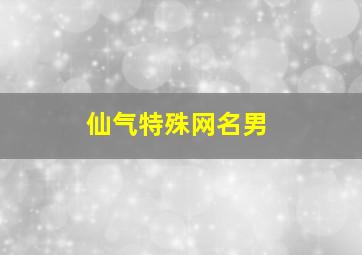 仙气特殊网名男