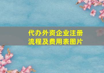 代办外资企业注册流程及费用表图片