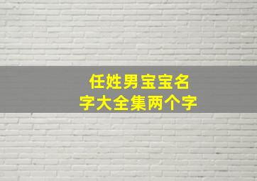 任姓男宝宝名字大全集两个字