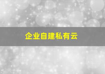 企业自建私有云