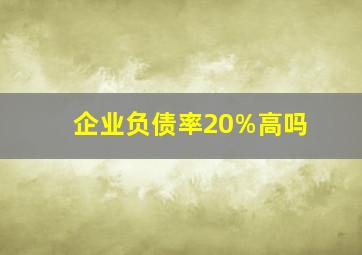 企业负债率20%高吗