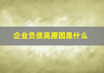 企业负债高原因是什么