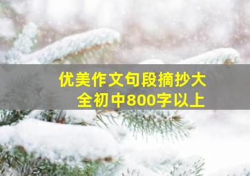 优美作文句段摘抄大全初中800字以上