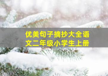 优美句子摘抄大全语文二年级小学生上册