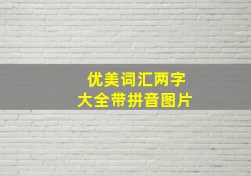 优美词汇两字大全带拼音图片