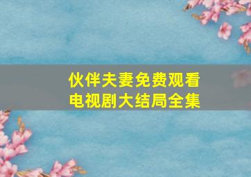 伙伴夫妻免费观看电视剧大结局全集