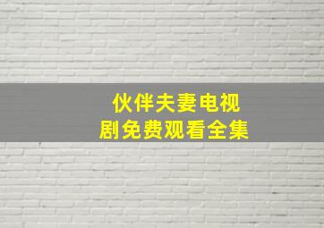 伙伴夫妻电视剧免费观看全集