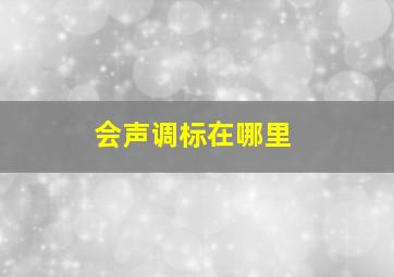 会声调标在哪里