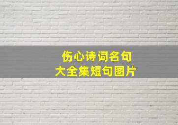 伤心诗词名句大全集短句图片