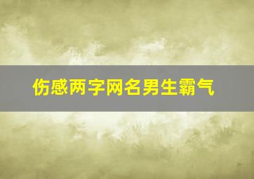 伤感两字网名男生霸气