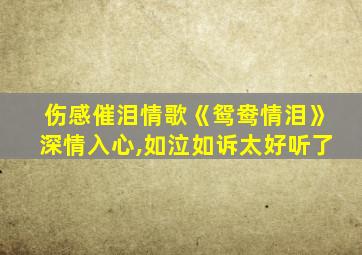 伤感催泪情歌《鸳鸯情泪》深情入心,如泣如诉太好听了