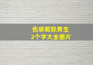 伤感昵称男生2个字大全图片