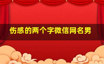 伤感的两个字微信网名男