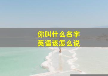 你叫什么名字英语该怎么说