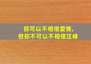 你可以不相信爱情,但你不可以不相信汪峰