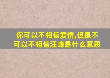 你可以不相信爱情,但是不可以不相信汪峰是什么意思