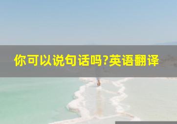 你可以说句话吗?英语翻译