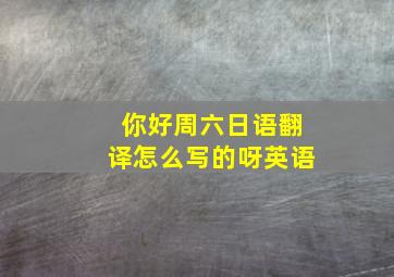 你好周六日语翻译怎么写的呀英语