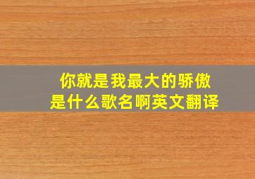 你就是我最大的骄傲是什么歌名啊英文翻译