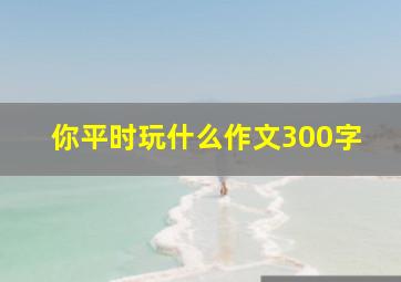 你平时玩什么作文300字