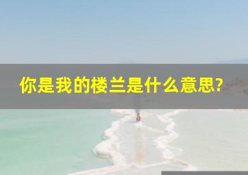 你是我的楼兰是什么意思?