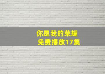 你是我的荣耀免费播放17集