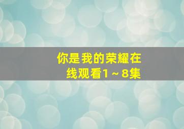 你是我的荣耀在线观看1～8集