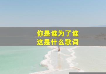 你是谁为了谁这是什么歌词