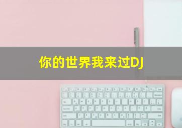 你的世界我来过DJ