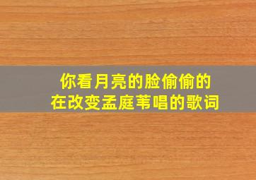 你看月亮的脸偷偷的在改变孟庭苇唱的歌词