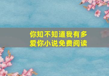 你知不知道我有多爱你小说免费阅读