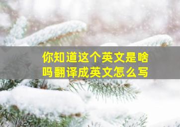 你知道这个英文是啥吗翻译成英文怎么写