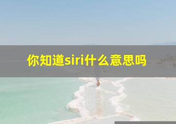 你知道siri什么意思吗