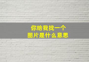 你给我找一个图片是什么意思