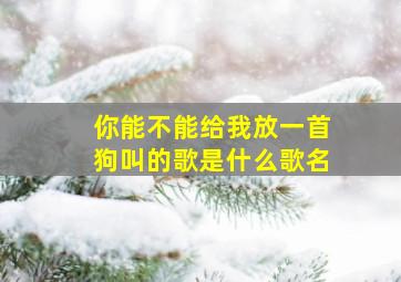 你能不能给我放一首狗叫的歌是什么歌名