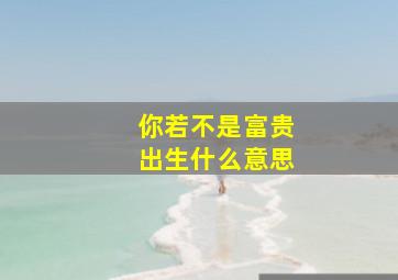 你若不是富贵出生什么意思